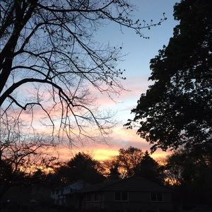 Meet your Posher, Sadie