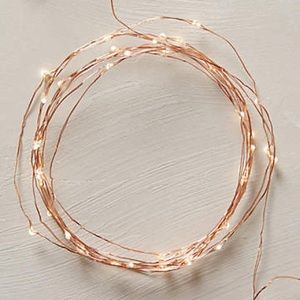 String lights (aka firefly lights)