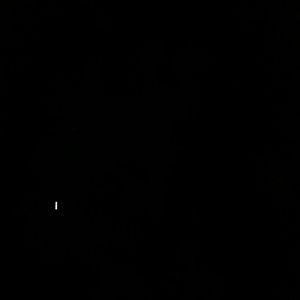 Meet your Posher, Sabrina