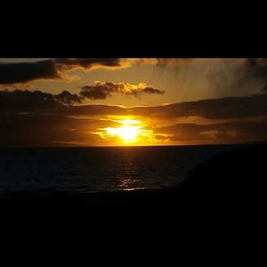 Meet your Posher, Krista