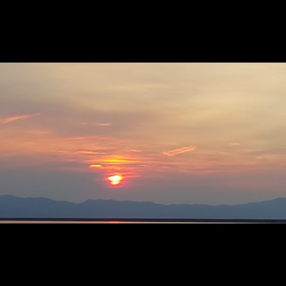 Meet your Posher, Amy - Picture 1 of 1