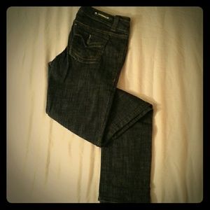 Hydraulic Dark wash skinny jeans
