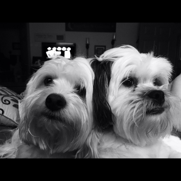 My Boys - Picture 1 of 1