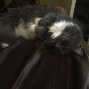 Meet your Posher, Chloe