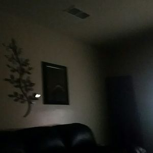 Meet your Posher, Irma