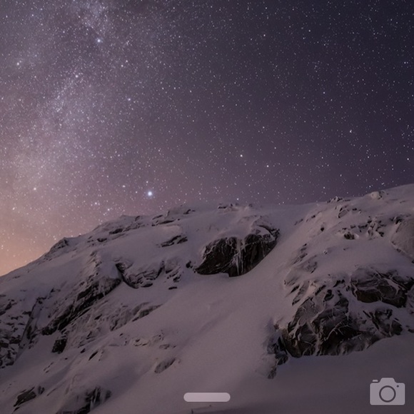 Meet your Posher, Rudy - Picture 1 of 1