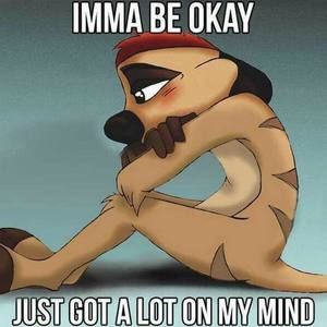 Meet your Posher, Bryce