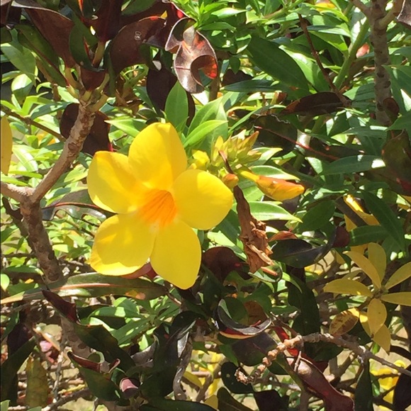 Meet your Posher, Emily - Picture 1 of 1