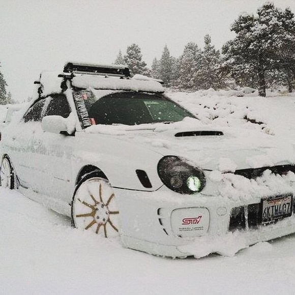 Meet your Posher, Pat - Picture 1 of 1