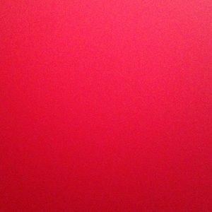 Meet your Posher, Lily