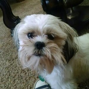 Meet your Posher, Sabrina