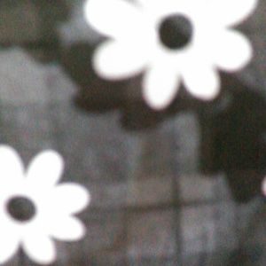 Meet your Posher, Mindy