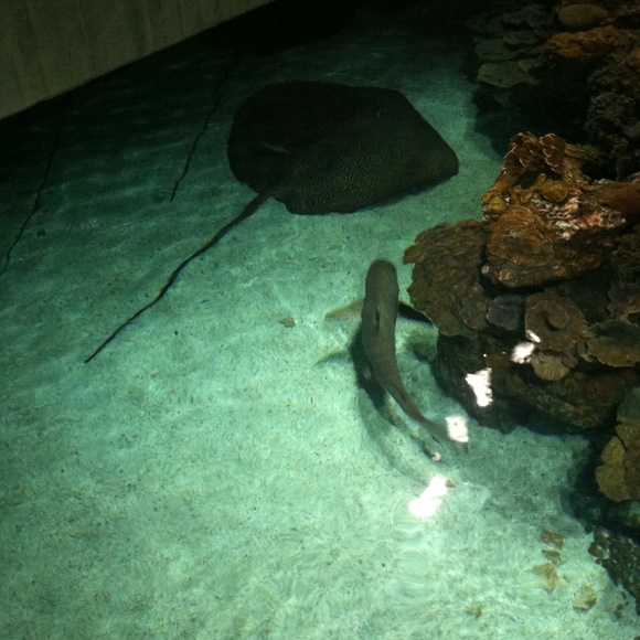 Meet your Posher, Edgar - Picture 1 of 1