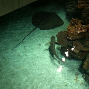 Meet your Posher, Edgar