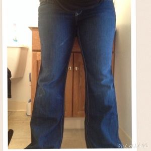 NWOT Big Star "Maddie" Jeans by Buckle