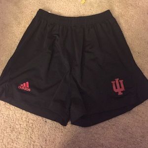 IU Adidas shorts