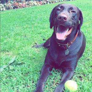 Meet your Posher, Abby