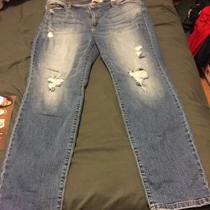 Jeans plus size