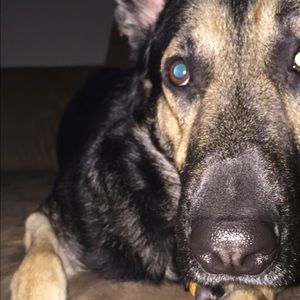 Meet your Posher, Makenzie