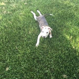 Meet your Posher, Billie