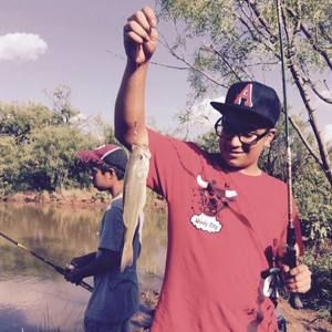 Meet your Posher, Mark