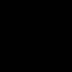 Meet your Posher, Rene