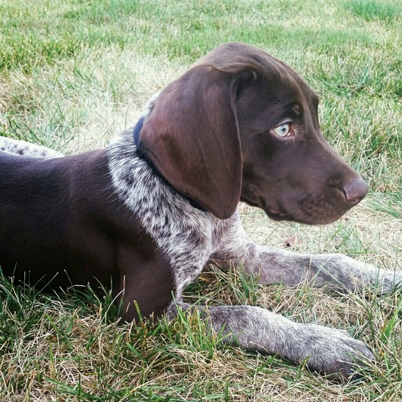 Meet your Posher, Jessica - Picture 4 of 4