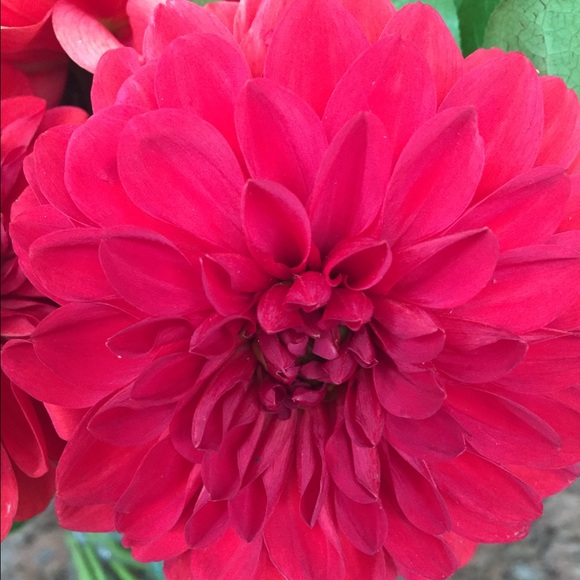 Meet your Posher, Nicole - Picture 3 of 8