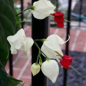 Meet your Posher, Teri