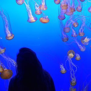 Meet your Posher, Kendall