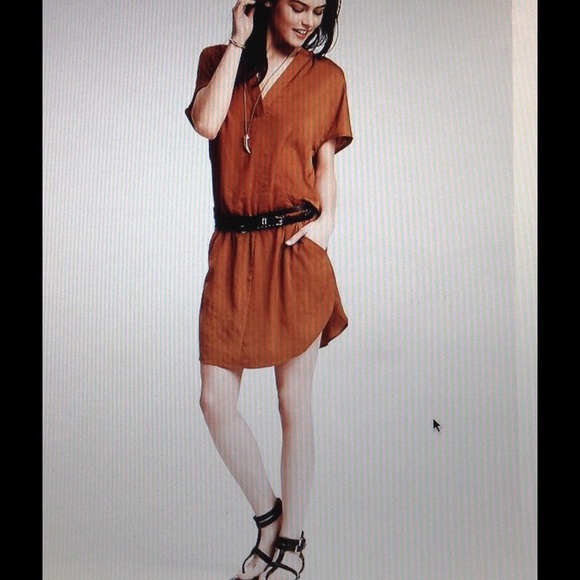 Banana Republic Crepe Shirtdress New Bronze
