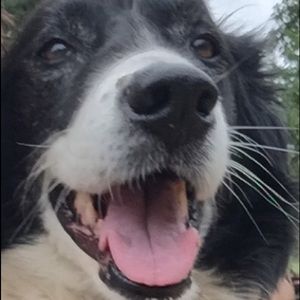 Meet your Posher, Jillayne