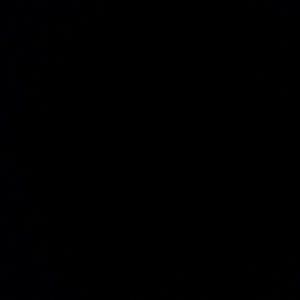 Meet your Posher, Daisy