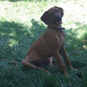 Meet your Posher, Amy