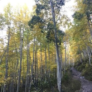 Meet your Posher, Aja