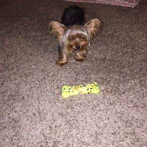 Meet your Posher, Vix