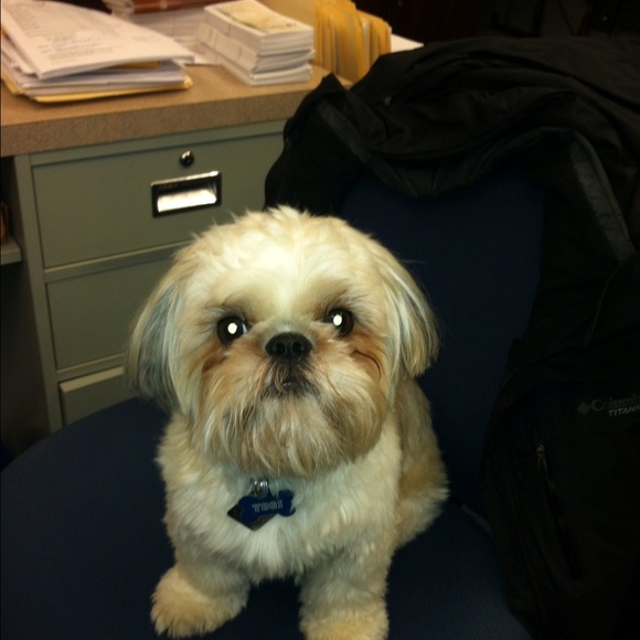 Meet your Posher, Melissa - Picture 1 of 1