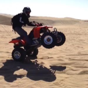 Meet your Posher, Shelby