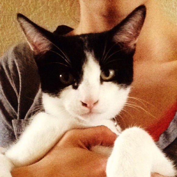 Meet your Posher, Natasha - Picture 1 of 1