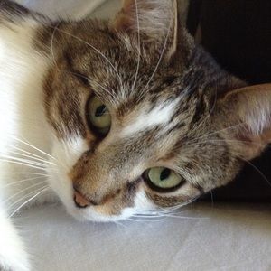 Meet your Posher, Delaney