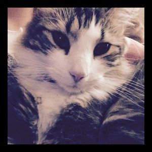 Meet your Posher, Courtney