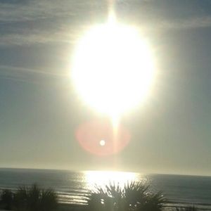 Meet your Posher, Darla