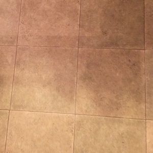 Meet your Posher, Joanne