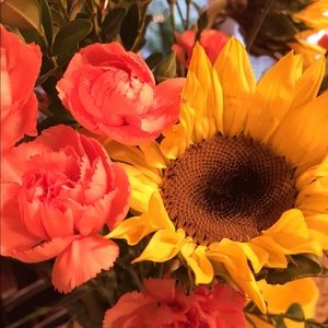 Meet your Posher, Victoria