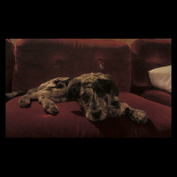 Meet your Posher, Rachel - Picture 2 of 4