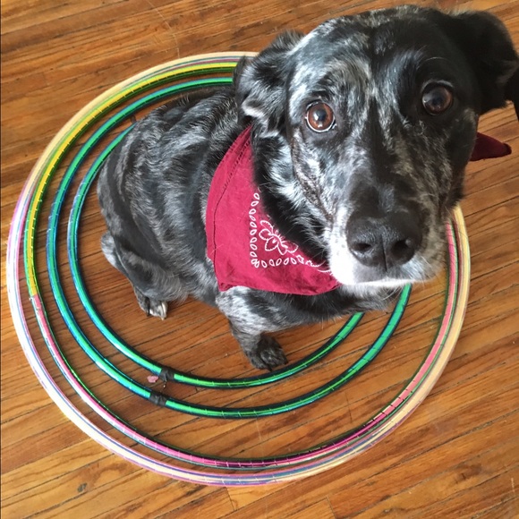 Meet your Posher, Rachel - Picture 3 of 4