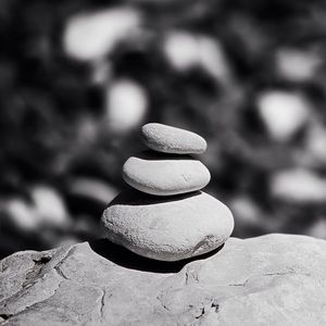 Meet your Posher, Reggie