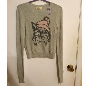Hollister cat sweater