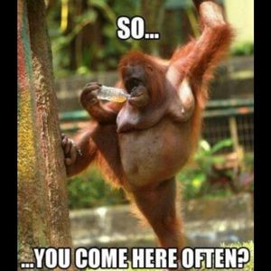 Meet your Posher, Jerry