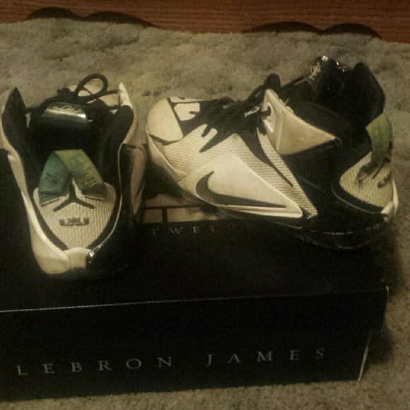 Lebron 12 all stars??